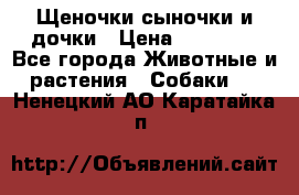 Щеночки-сыночки и дочки › Цена ­ 30 000 - Все города Животные и растения » Собаки   . Ненецкий АО,Каратайка п.